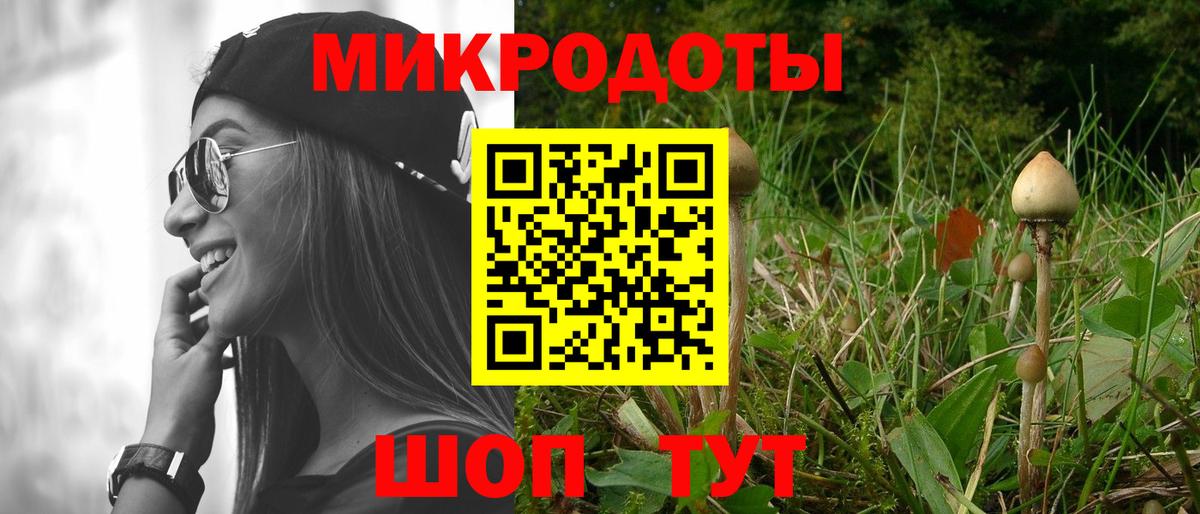 где купить наркоту  Псилоцибиновые грибы ЛСД  Вход с VPN  Большой Камень 